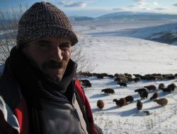 Kar besiciliği çileye çeviriyor